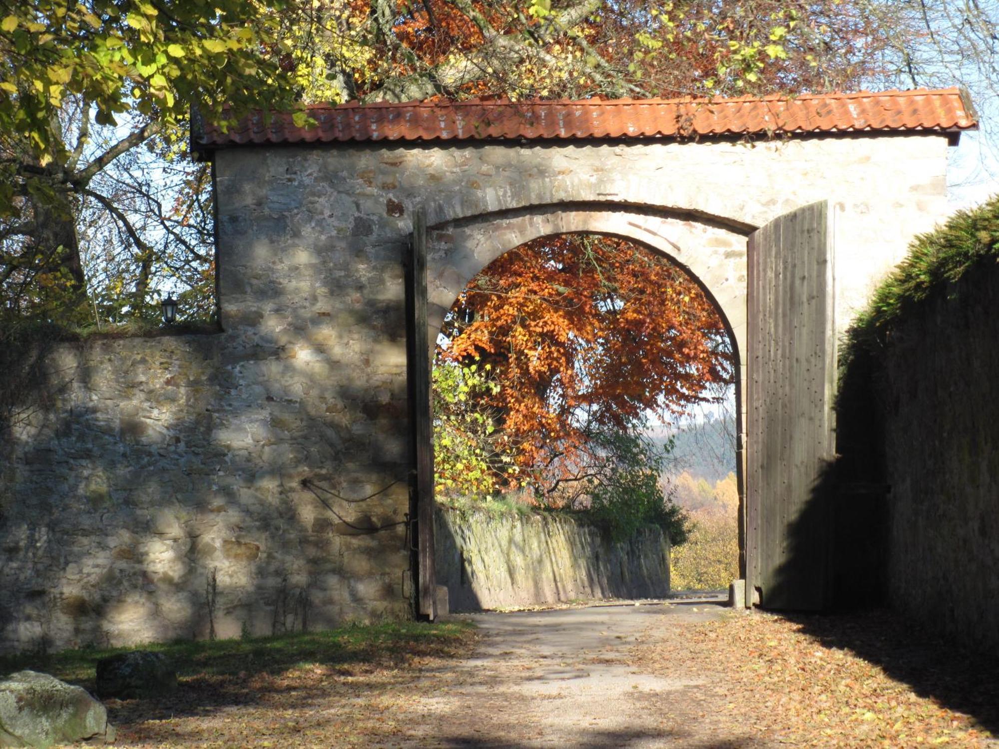 Hotel-Cafe "Schauinsland" Horn-Bad Meinberg Exteriér fotografie