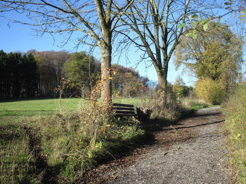 Hotel-Cafe "Schauinsland" Horn-Bad Meinberg Exteriér fotografie